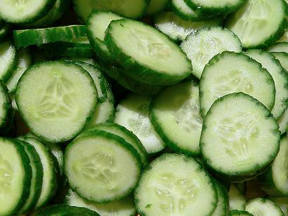 Cucumber Seed oil Manufacturer Supplier Wholesale Exporter Importer Buyer Trader Retailer in Kannauj Uttar Pradesh India